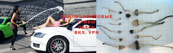 apvp Волоколамск